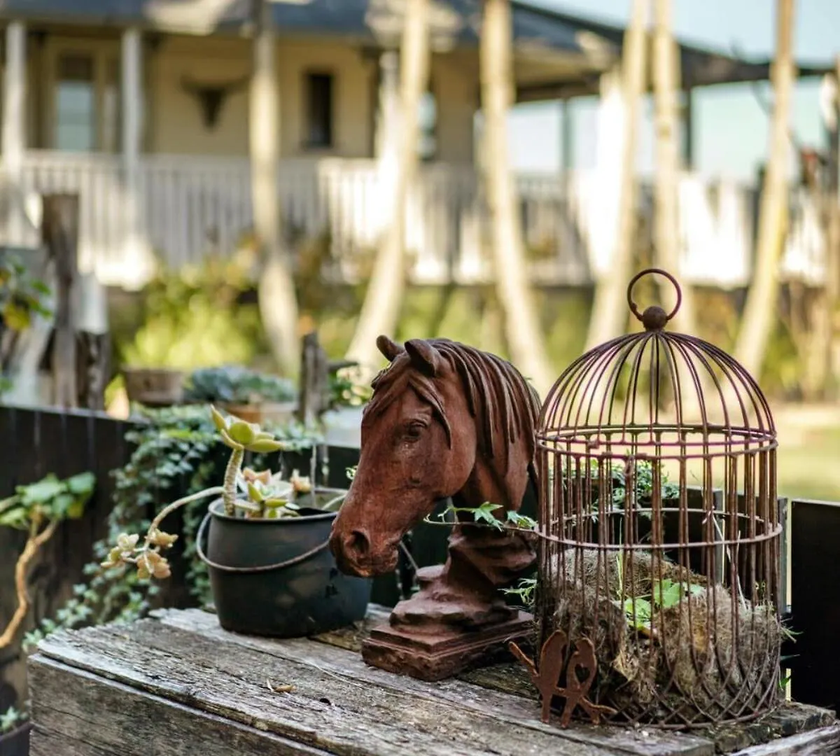Beam Creek Cottage - Montville Holiday home